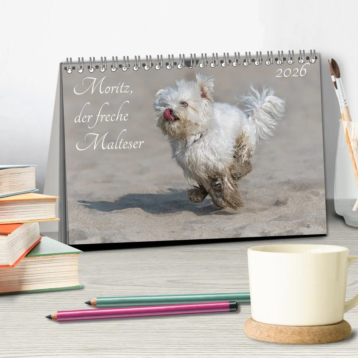 Bild: 9783457707975 | Moritz, der freche Malteser (Tischkalender 2026 DIN A5 quer),...