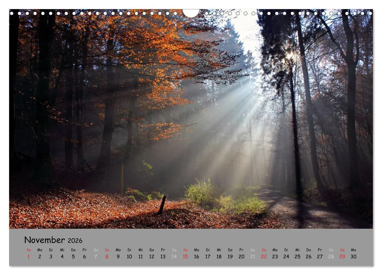 Bild: 9783516107975 | Lüneburger Heide - schön zu jeder Jahreszeit (Wandkalender 2026 DIN...