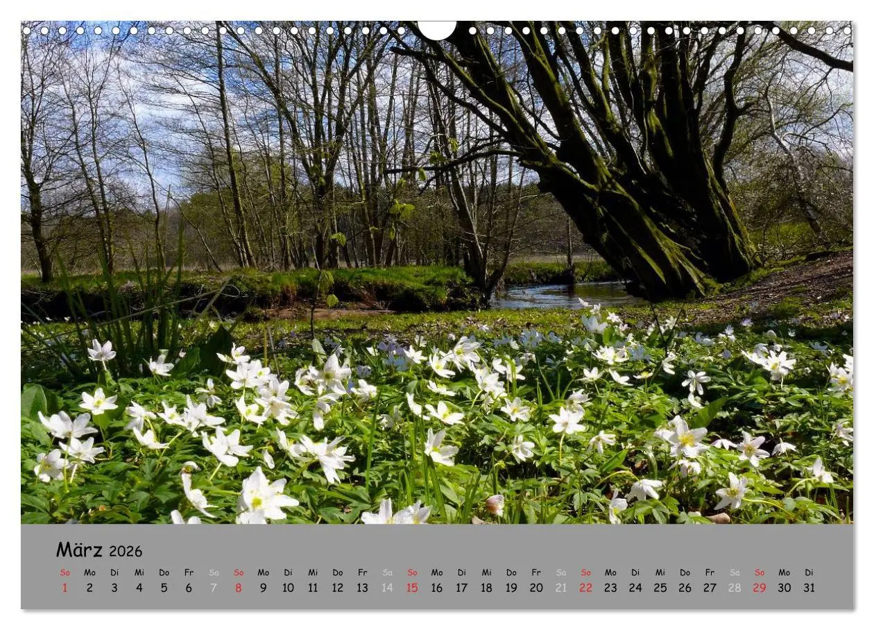 Bild: 9783516107975 | Lüneburger Heide - schön zu jeder Jahreszeit (Wandkalender 2026 DIN...