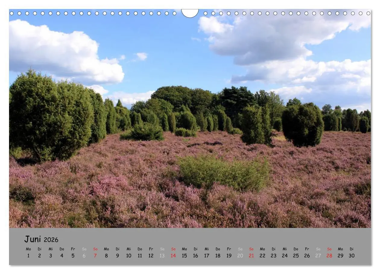 Bild: 9783516107975 | Lüneburger Heide - schön zu jeder Jahreszeit (Wandkalender 2026 DIN...