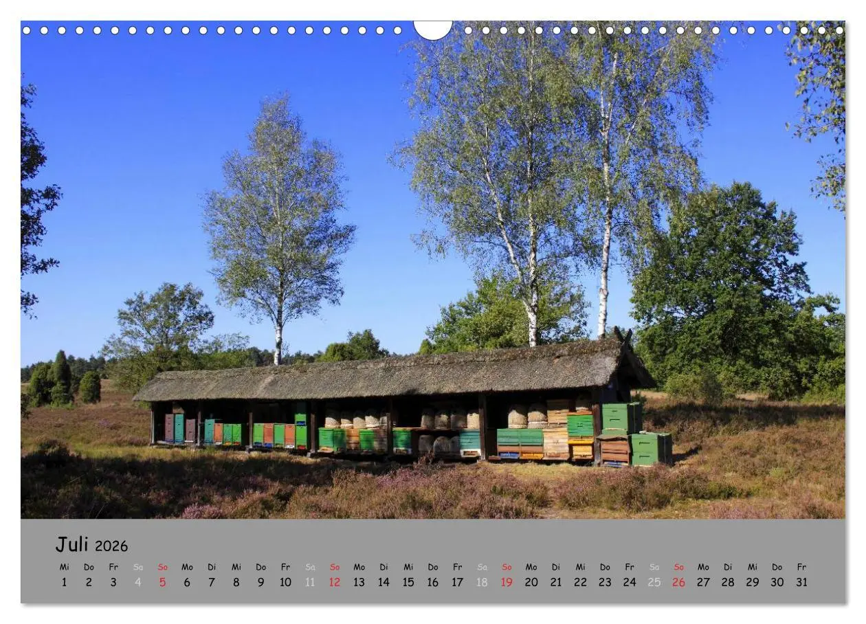 Bild: 9783516107975 | Lüneburger Heide - schön zu jeder Jahreszeit (Wandkalender 2026 DIN...