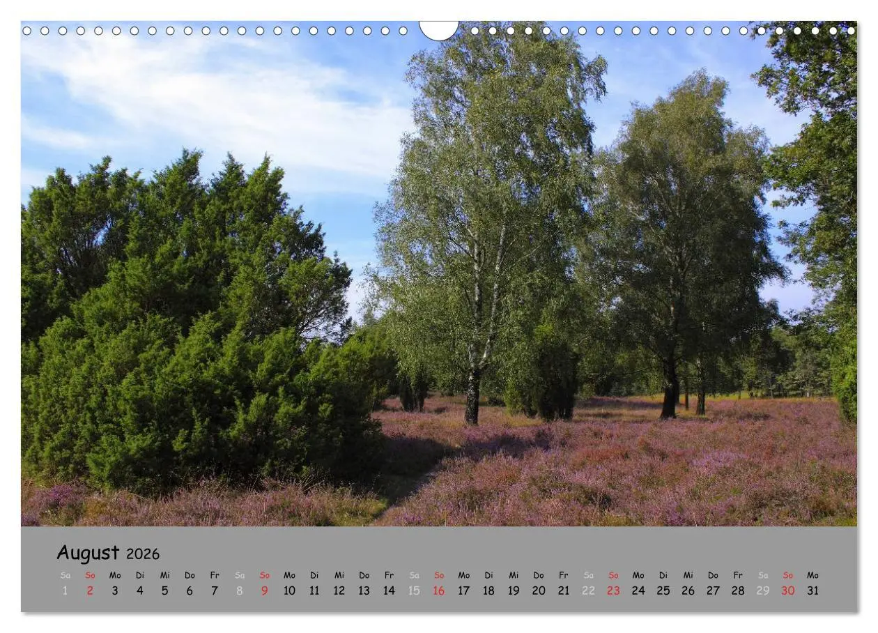Bild: 9783516107975 | Lüneburger Heide - schön zu jeder Jahreszeit (Wandkalender 2026 DIN...