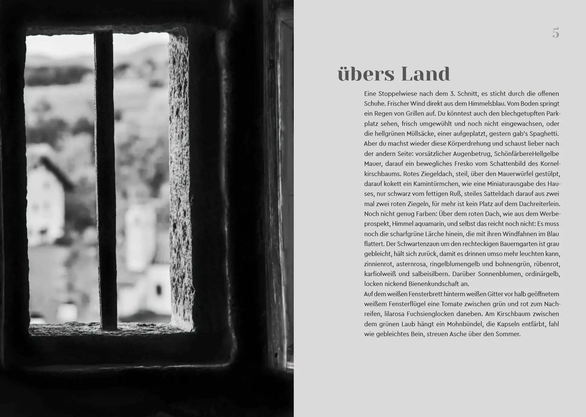 Bild: 9788868397975 | Anders leben - anders reich | Geschichten von Leuten | Inga Hosp