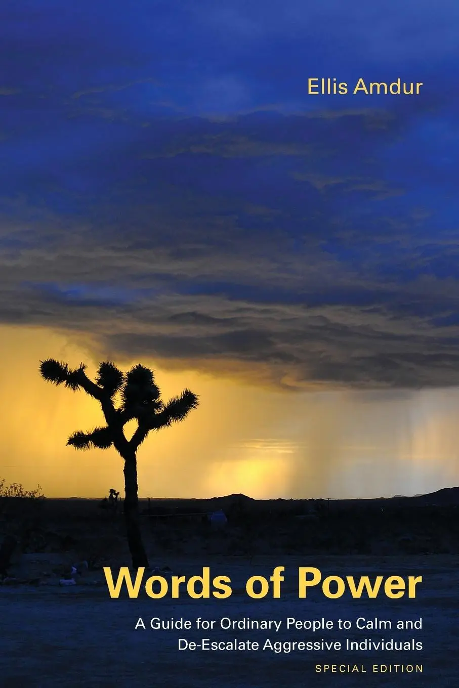 Cover: 9781950678075 | Words of Power | Ellis Amdur (u. a.) | Taschenbuch | Englisch | 2019