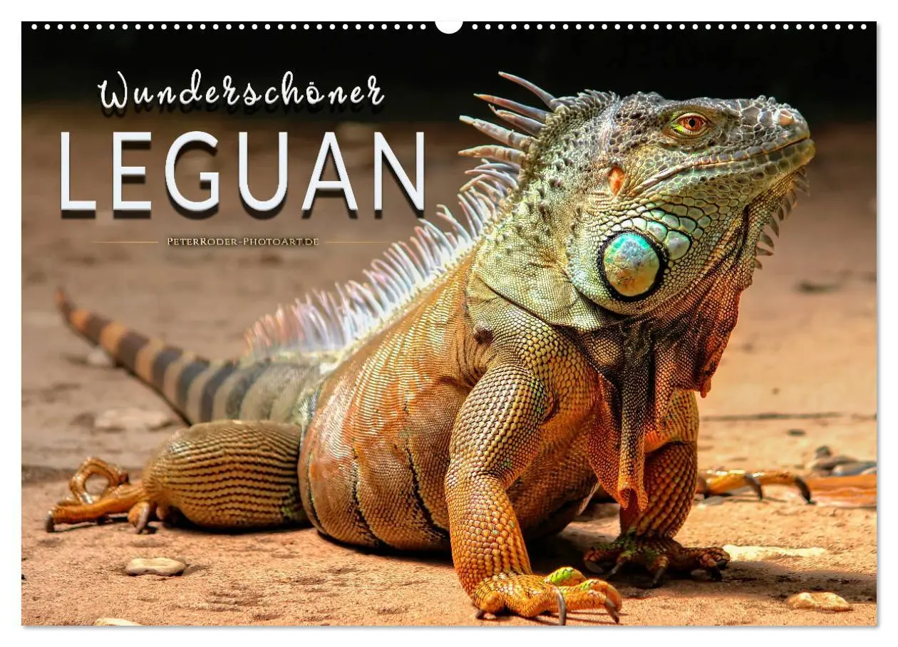 Cover: 9783457838075 | Wunderschöner Leguan (Wandkalender 2026 DIN A2 quer), CALVENDO...