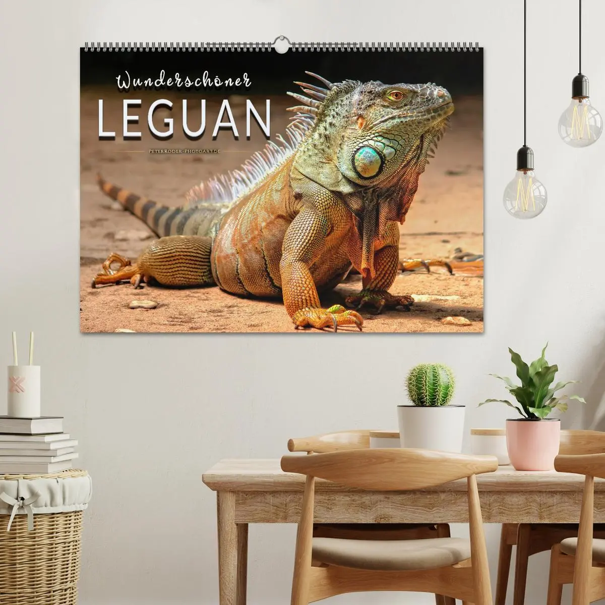 Bild: 9783457838075 | Wunderschöner Leguan (Wandkalender 2026 DIN A2 quer), CALVENDO...