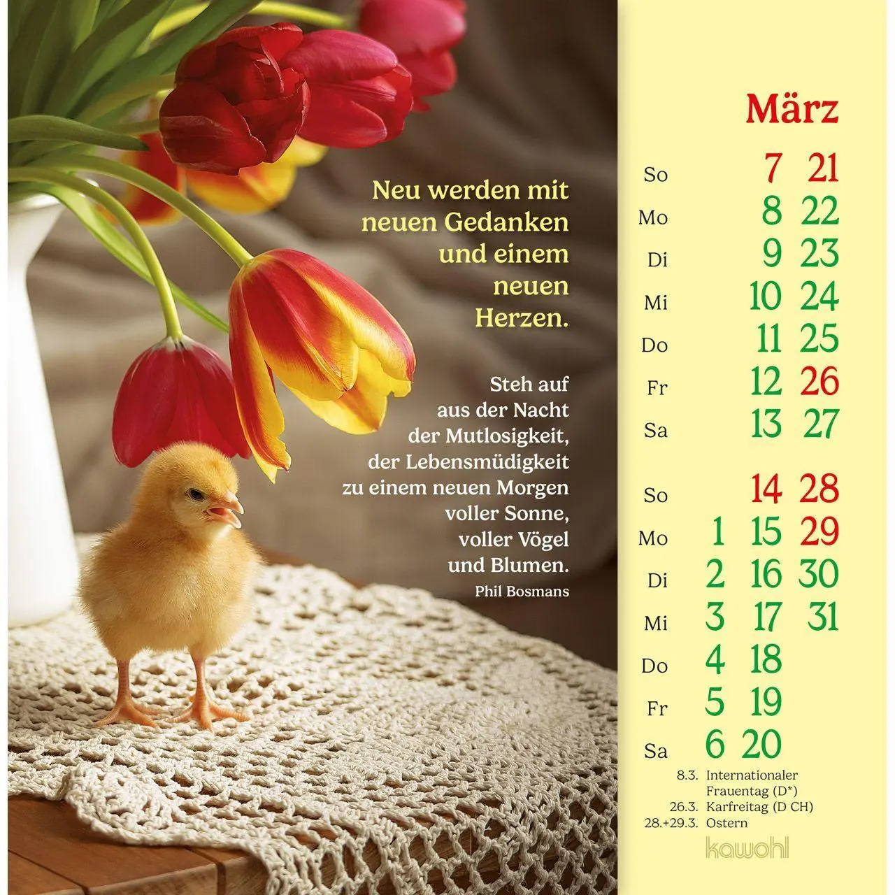 Bild: 9783754838075 | Phil Bosmans Postkartenkalender 2027 | Kalender | 14 S. | Deutsch