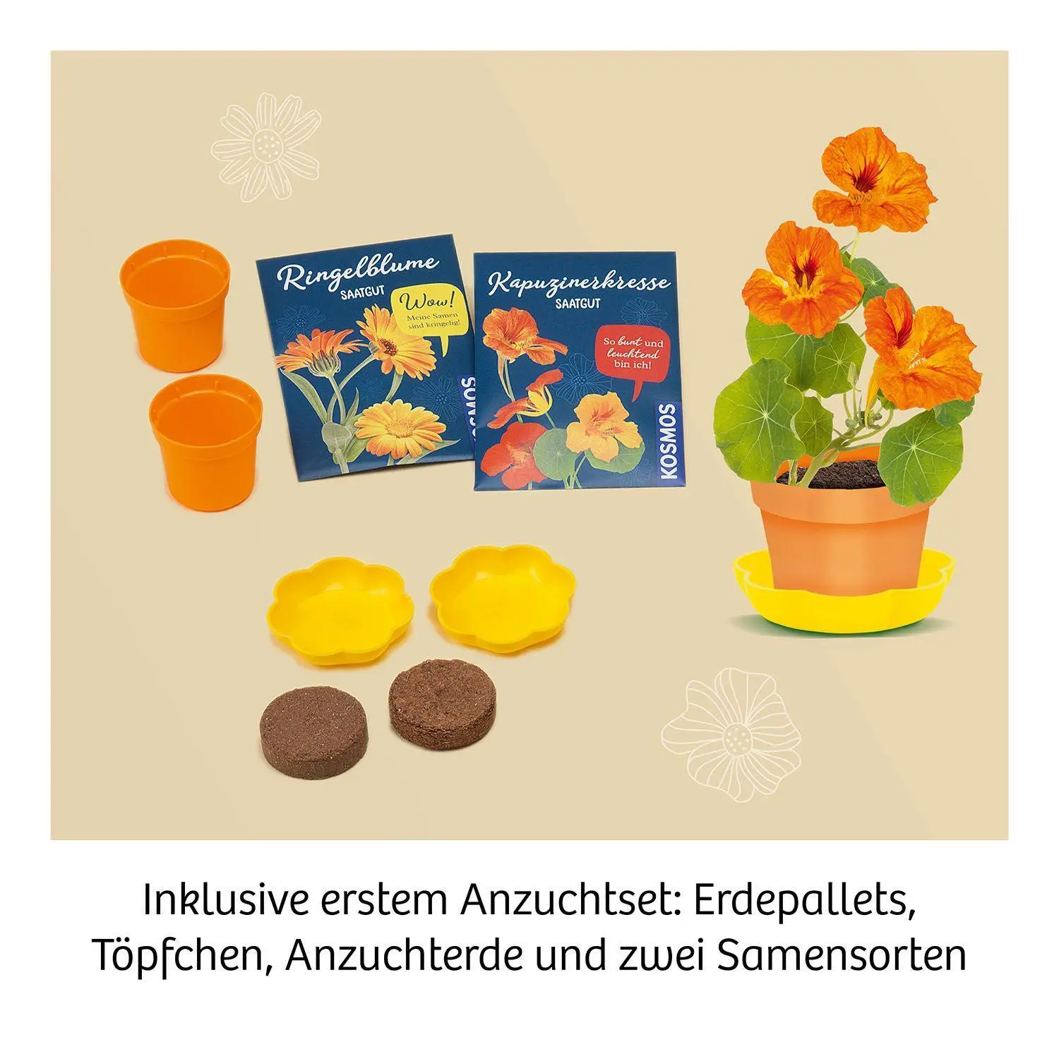 Bild: 4002051658175 | Blüten-Presse | Experimentierkasten | Spiel | Brettspiel | 658175