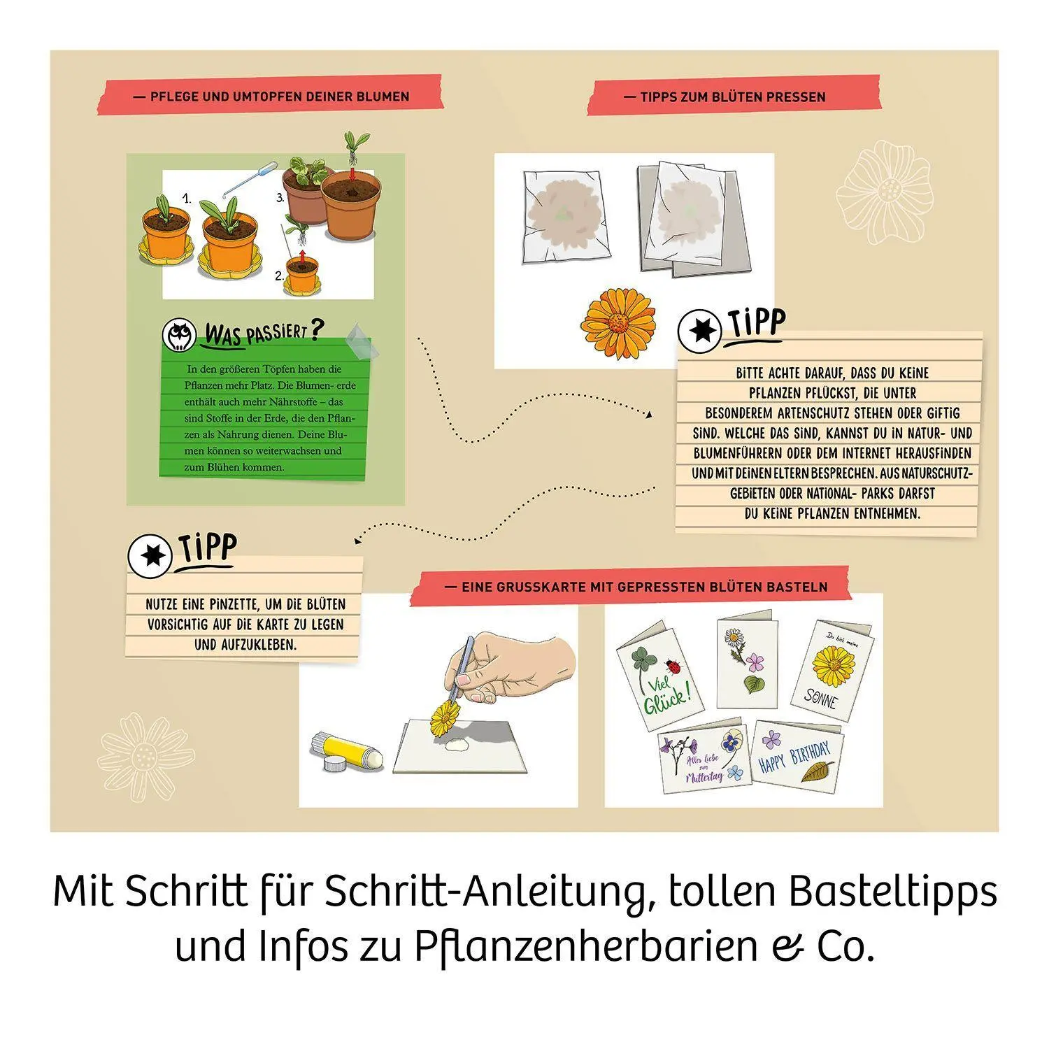 Bild: 4002051658175 | Blüten-Presse | Experimentierkasten | Spiel | Brettspiel | 658175