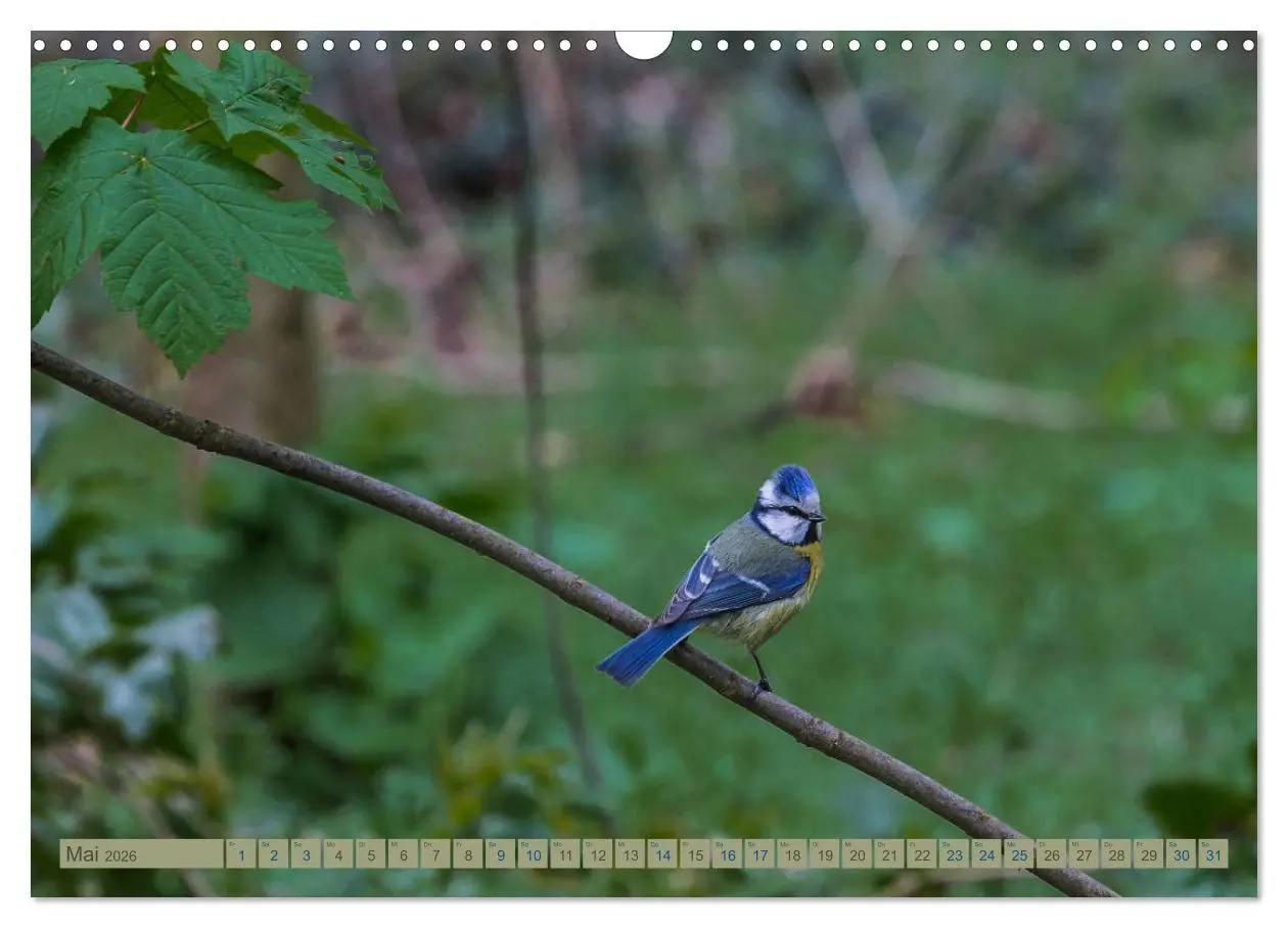 Bild: 9783457828175 | Woltersdorf bei Berlin (Wandkalender 2026 DIN A3 quer), CALVENDO...