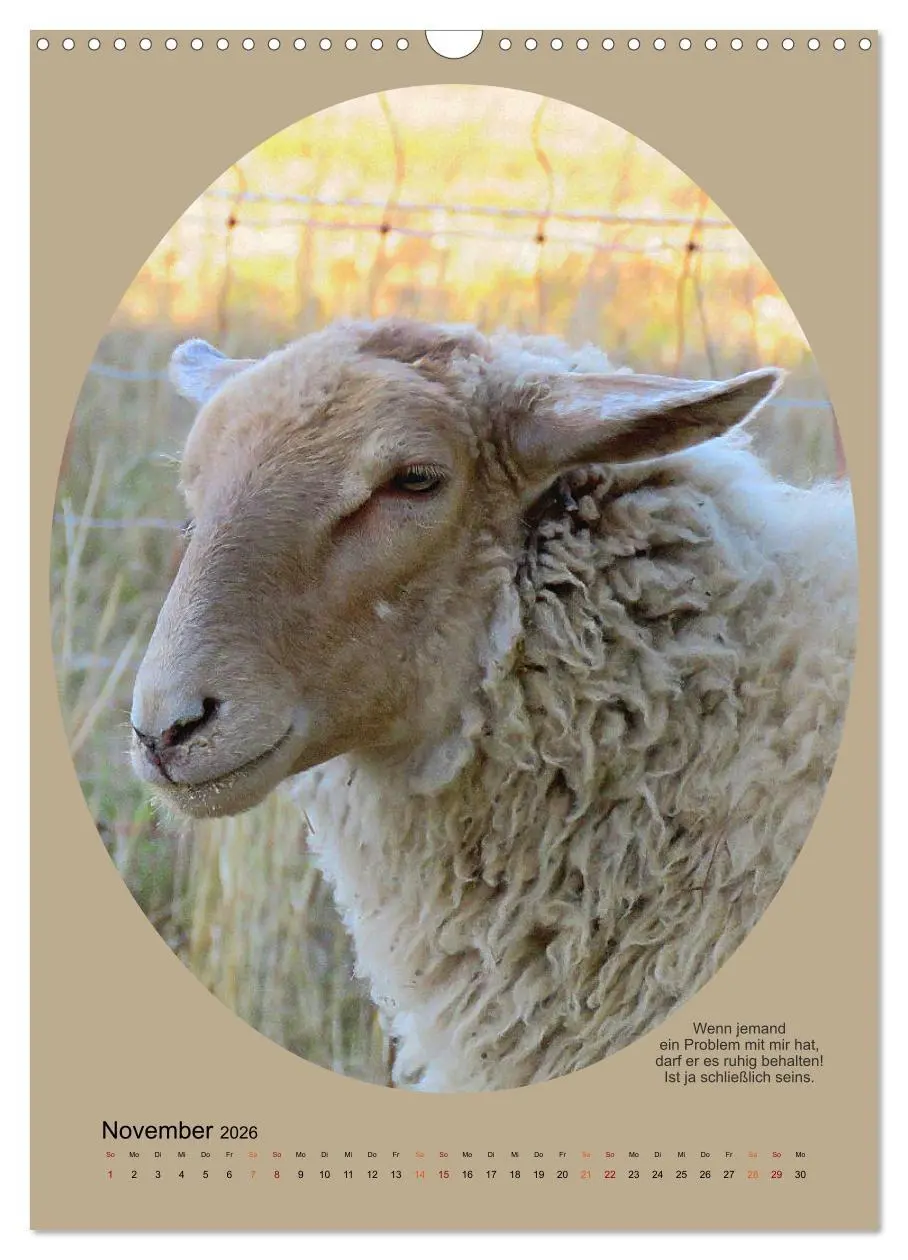 Bild: 9783516398175 | Scharfe Portraits (Wandkalender 2026 DIN A3 hoch), CALVENDO...