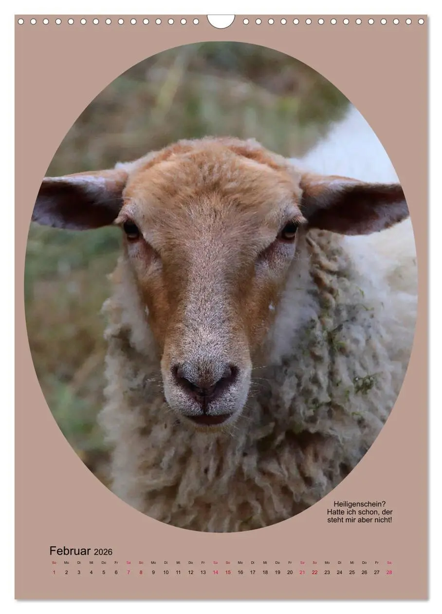 Bild: 9783516398175 | Scharfe Portraits (Wandkalender 2026 DIN A3 hoch), CALVENDO...