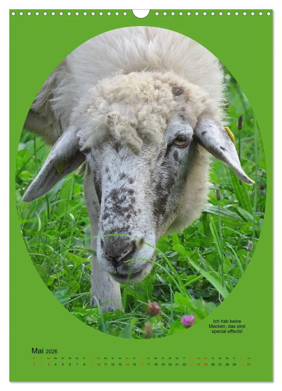 Bild: 9783516398175 | Scharfe Portraits (Wandkalender 2026 DIN A3 hoch), CALVENDO...
