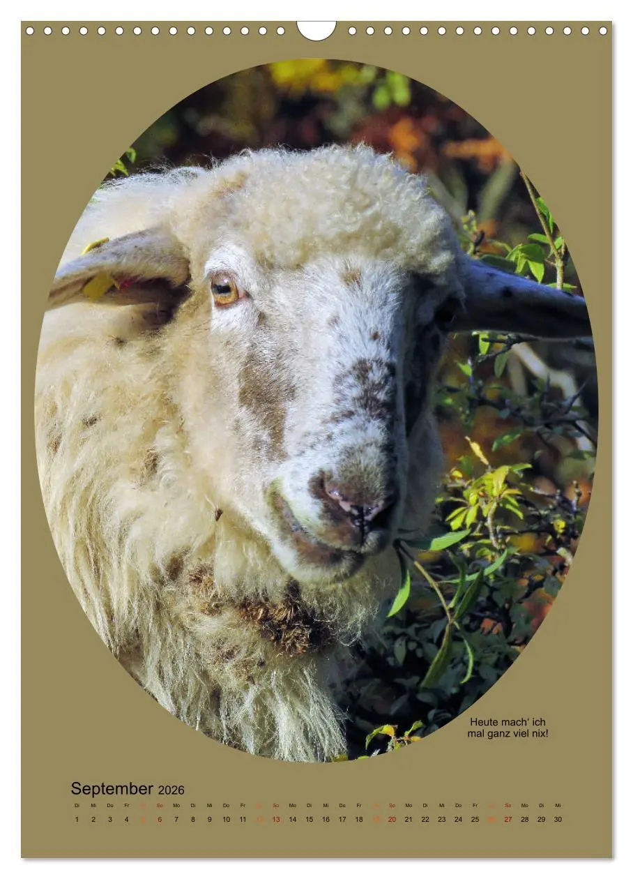 Bild: 9783516398175 | Scharfe Portraits (Wandkalender 2026 DIN A3 hoch), CALVENDO...