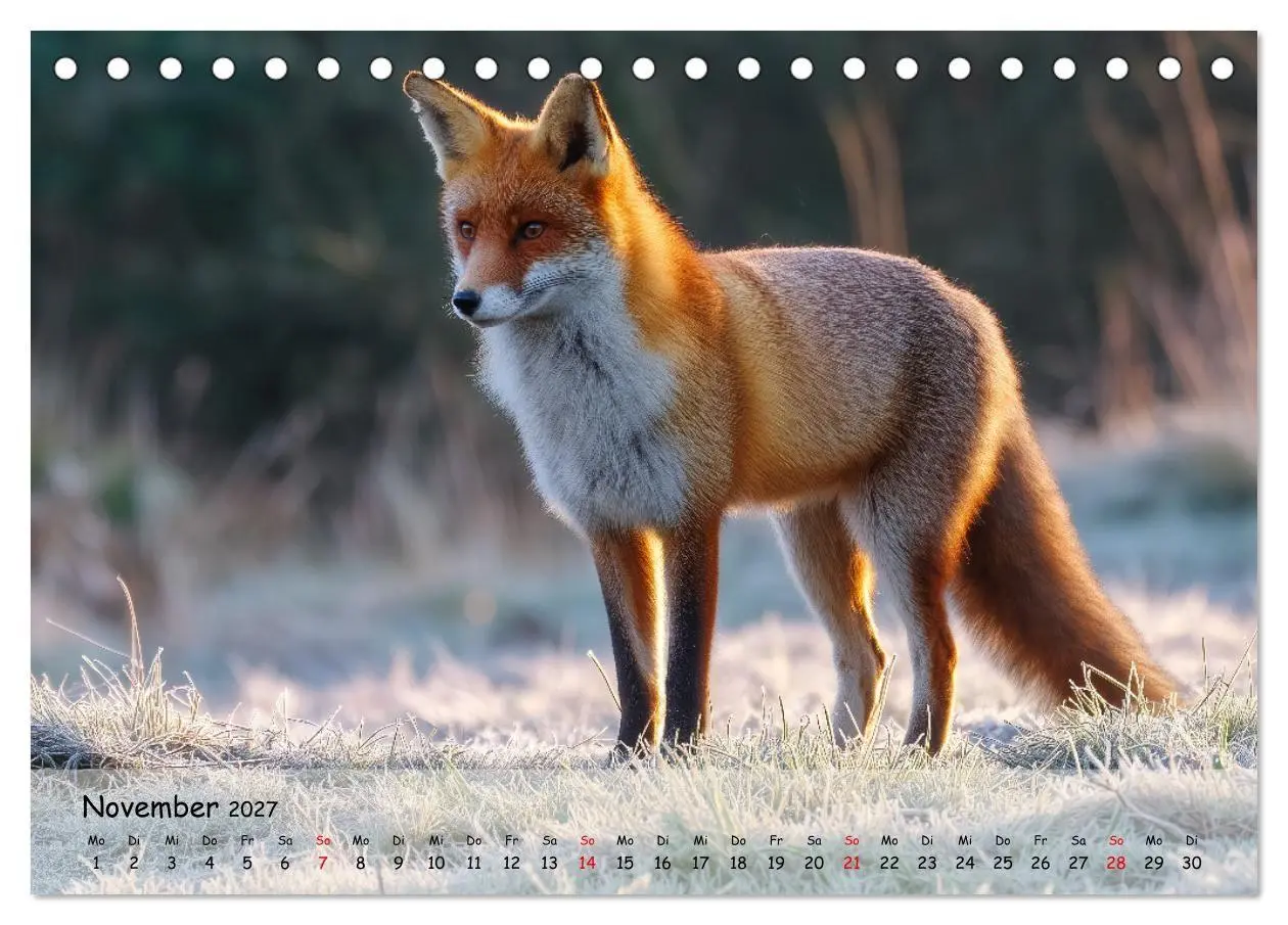 Bild: 9783516848175 | Jagd und Natur - Kalender für Jäger mit Wildtieren Deutschlands im...