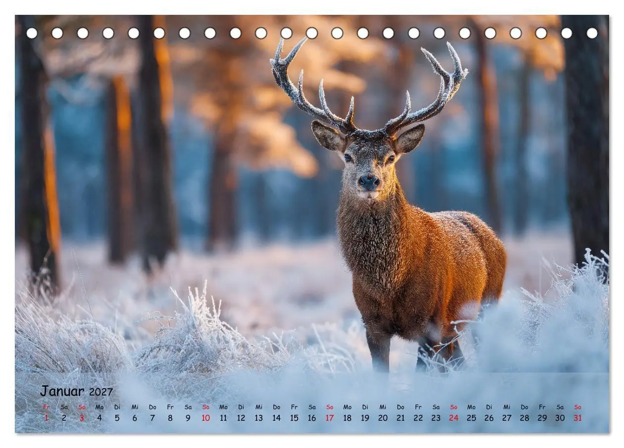 Bild: 9783516848175 | Jagd und Natur - Kalender für Jäger mit Wildtieren Deutschlands im...