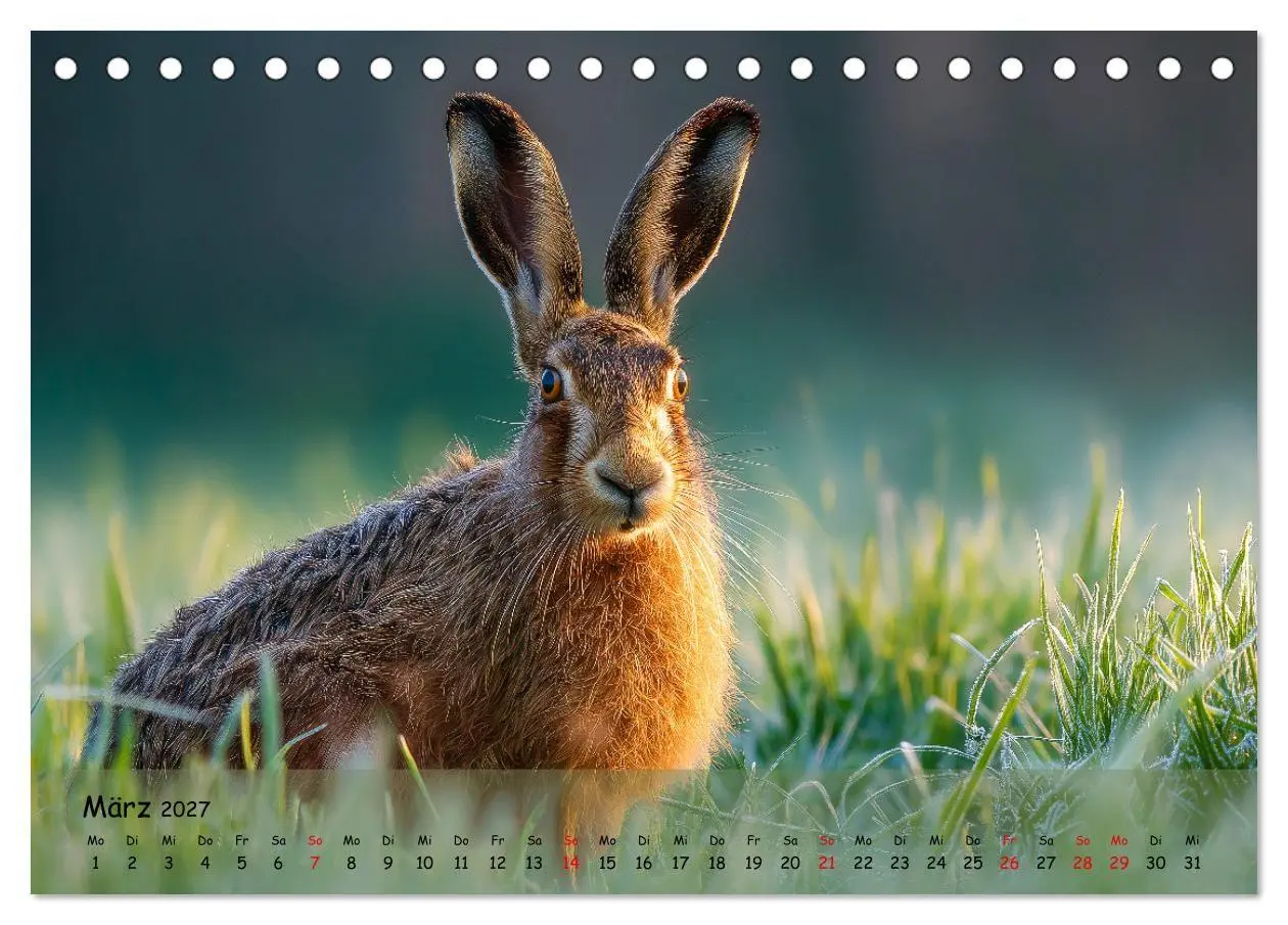 Bild: 9783516848175 | Jagd und Natur - Kalender für Jäger mit Wildtieren Deutschlands im...