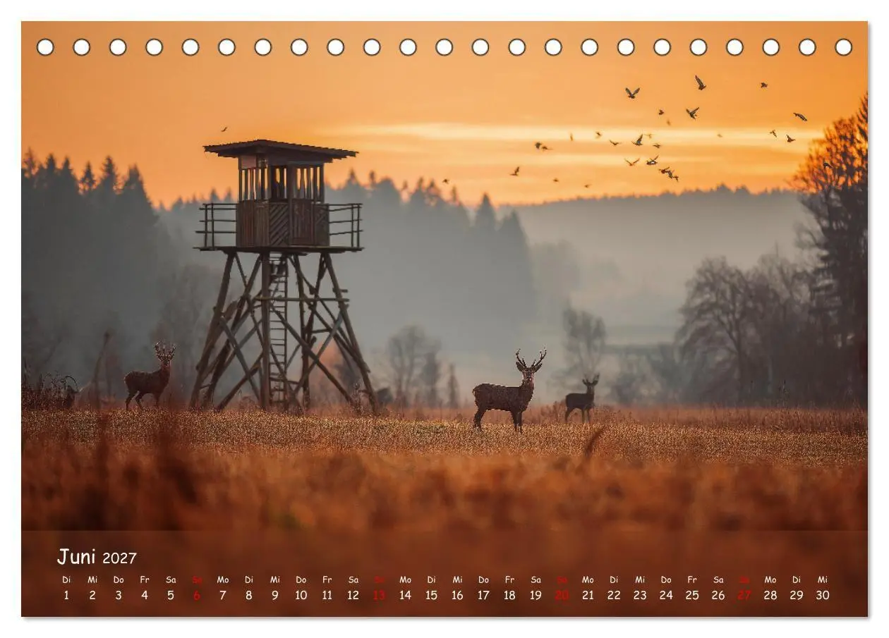Bild: 9783516848175 | Jagd und Natur - Kalender für Jäger mit Wildtieren Deutschlands im...
