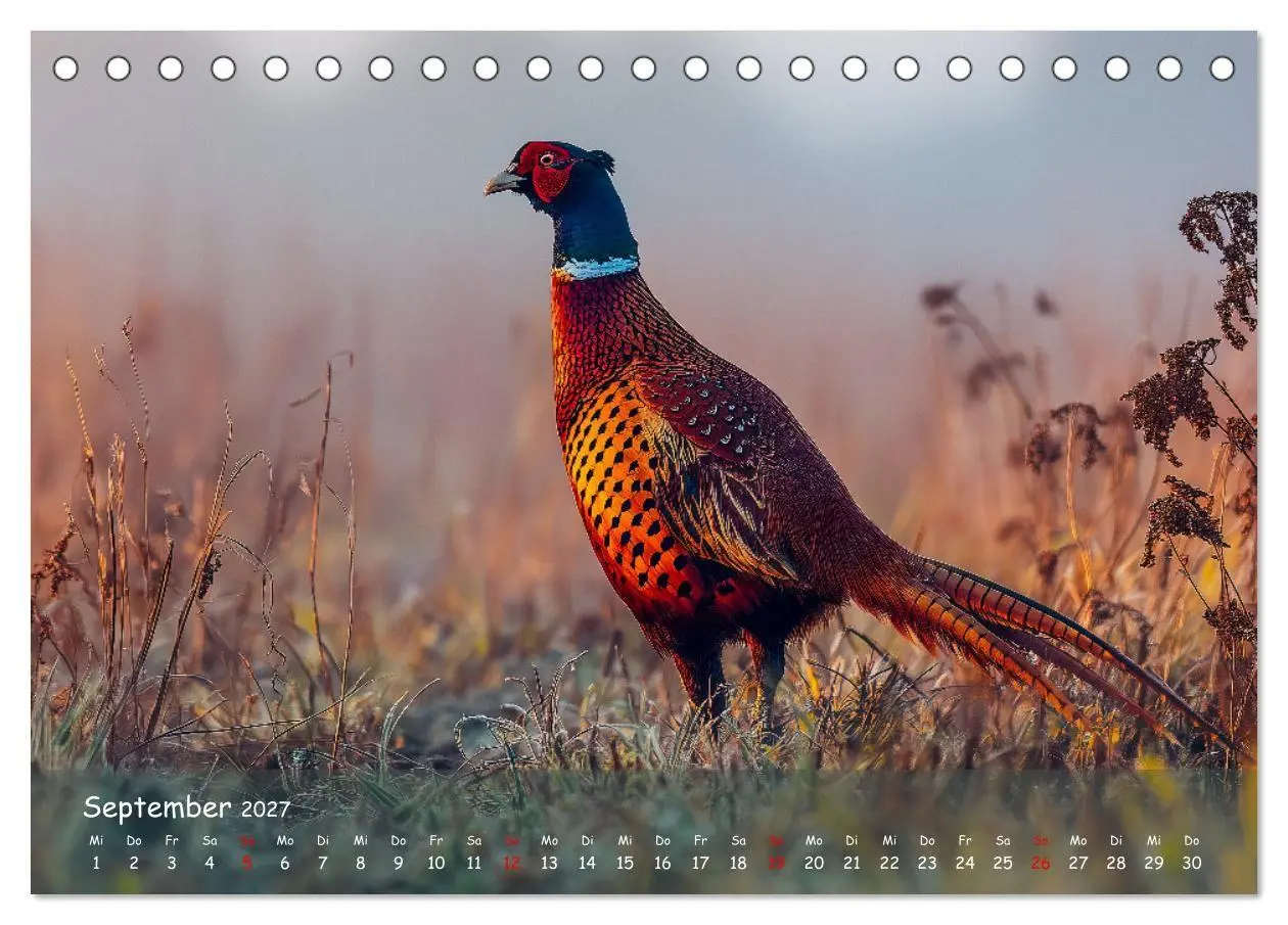 Bild: 9783516848175 | Jagd und Natur - Kalender für Jäger mit Wildtieren Deutschlands im...