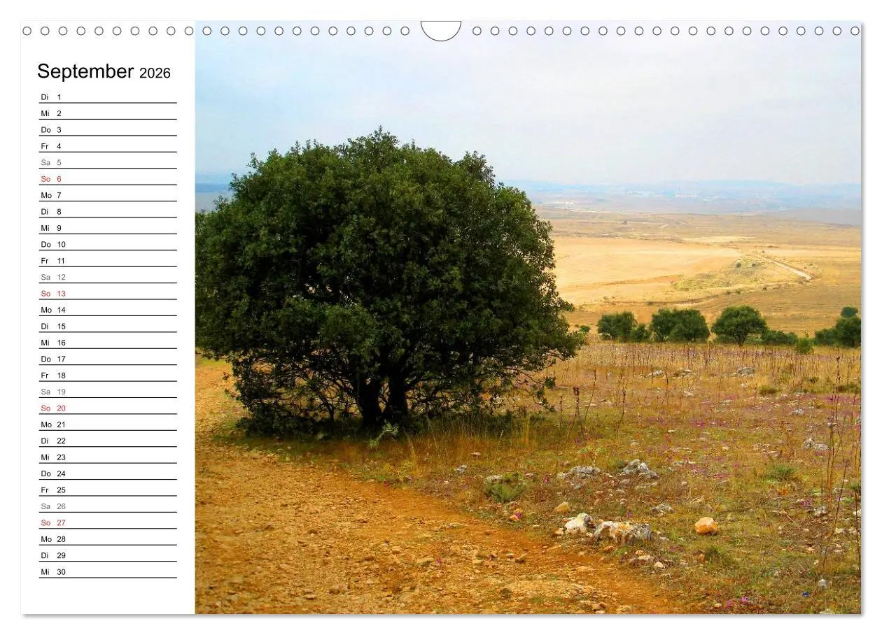 Bild: 9783457988275 | Jakobsweg - Camino Frances (Wandkalender 2026 DIN A3 quer),...