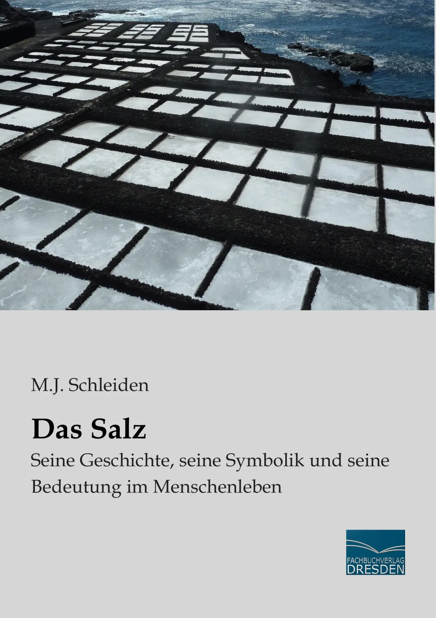 Cover: 9783956928475 | Das Salz | M. J. Schleiden | Taschenbuch | 248 S. | Deutsch | 2015