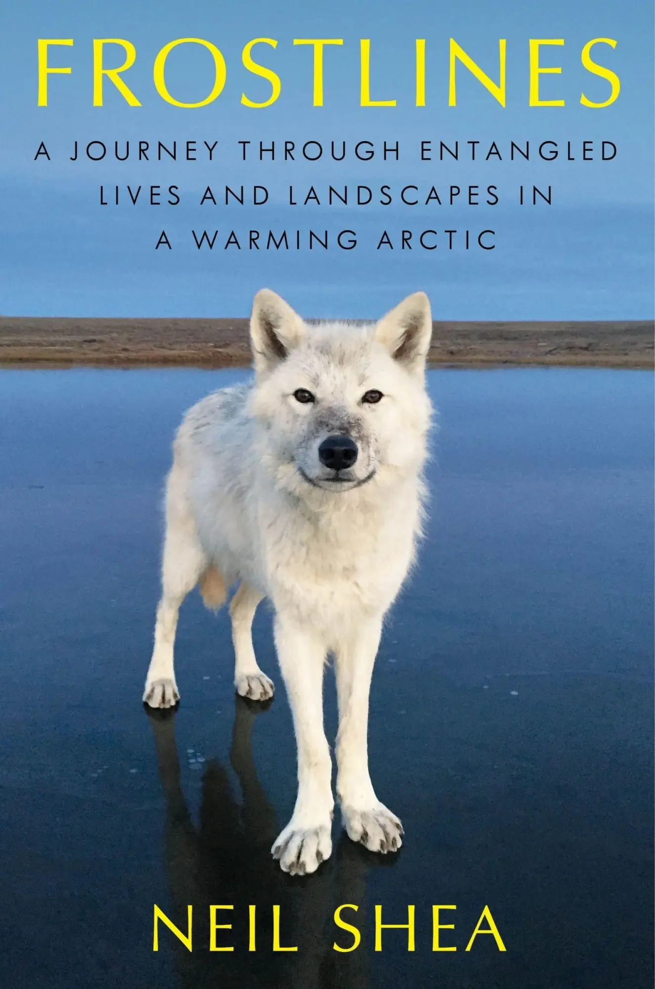 Cover: 9780063138575 | Frostlines | Neil Shea | Buch | Englisch | 2025 | EAN 9780063138575