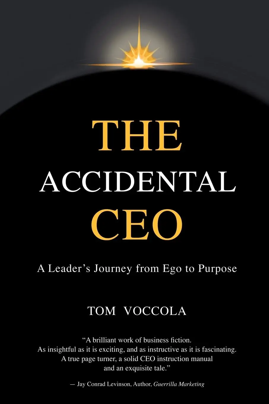 Cover: 9781411688575 | The Accidental CEO - A Leader's Journey from Ego to Purpose | Voccola
