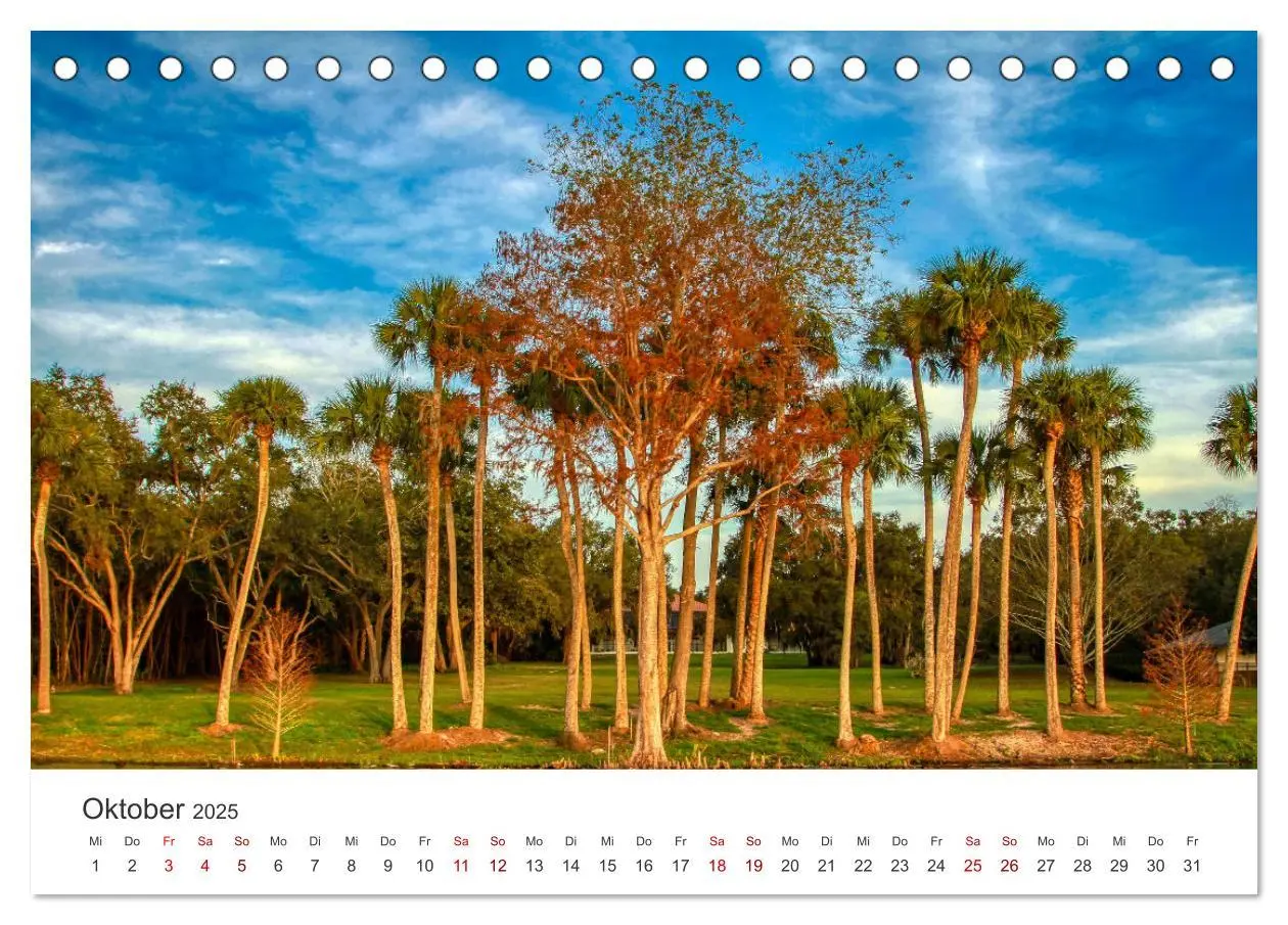 Bild: 9783435008575 | Florida - The Sunshine State (Tischkalender 2025 DIN A5 quer),...