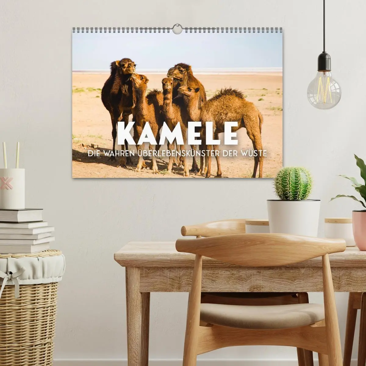 Bild: 9783457578575 | Kamele - die wahren Überlebenskünstler der Wüste. (Wandkalender...