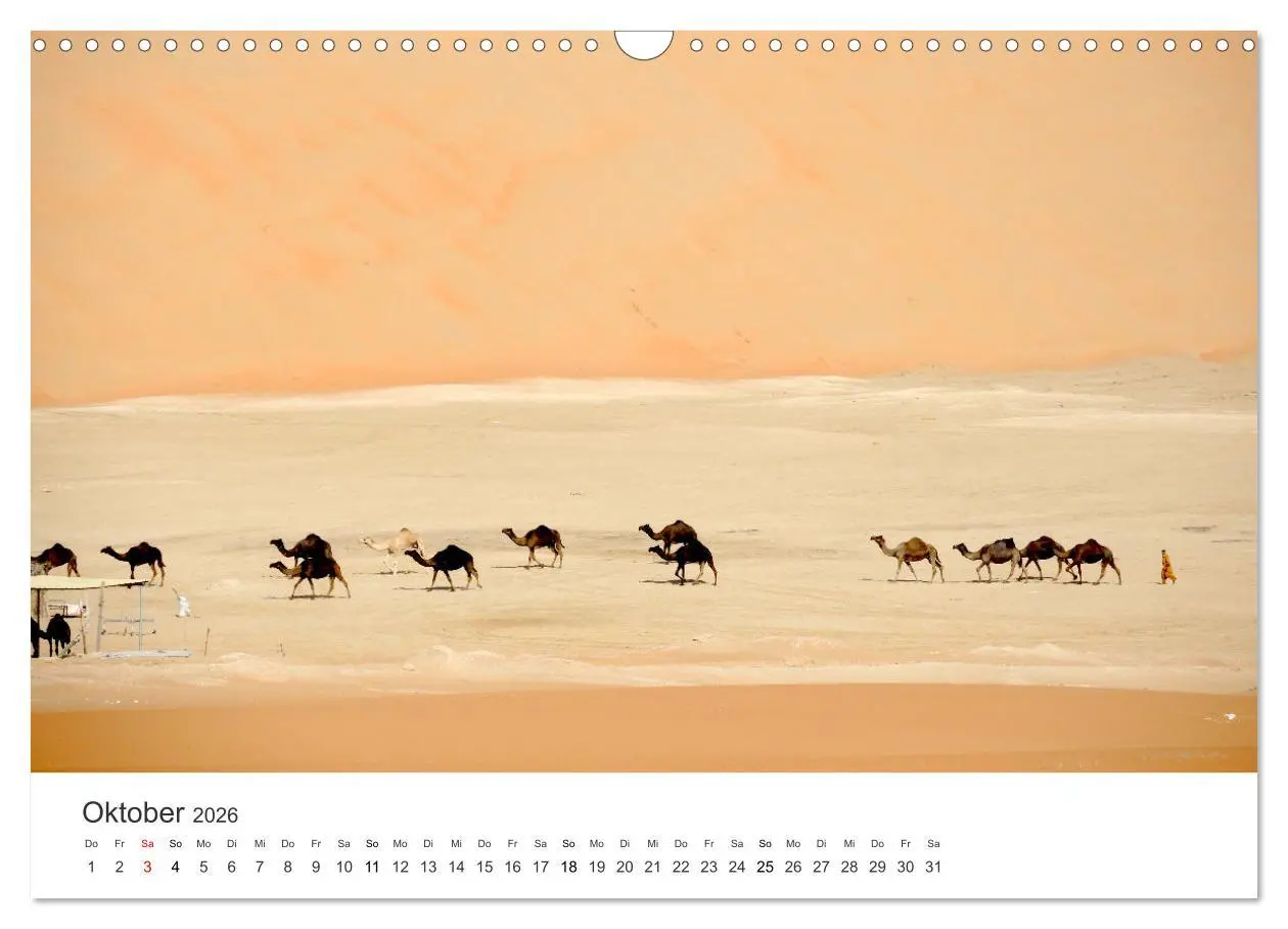 Bild: 9783457578575 | Kamele - die wahren Überlebenskünstler der Wüste. (Wandkalender...