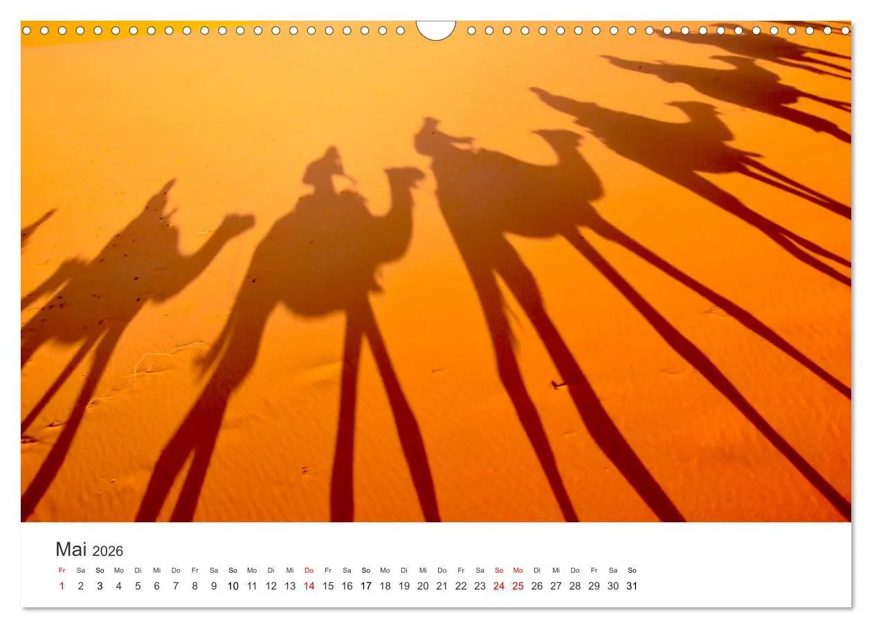 Bild: 9783457578575 | Kamele - die wahren Überlebenskünstler der Wüste. (Wandkalender...