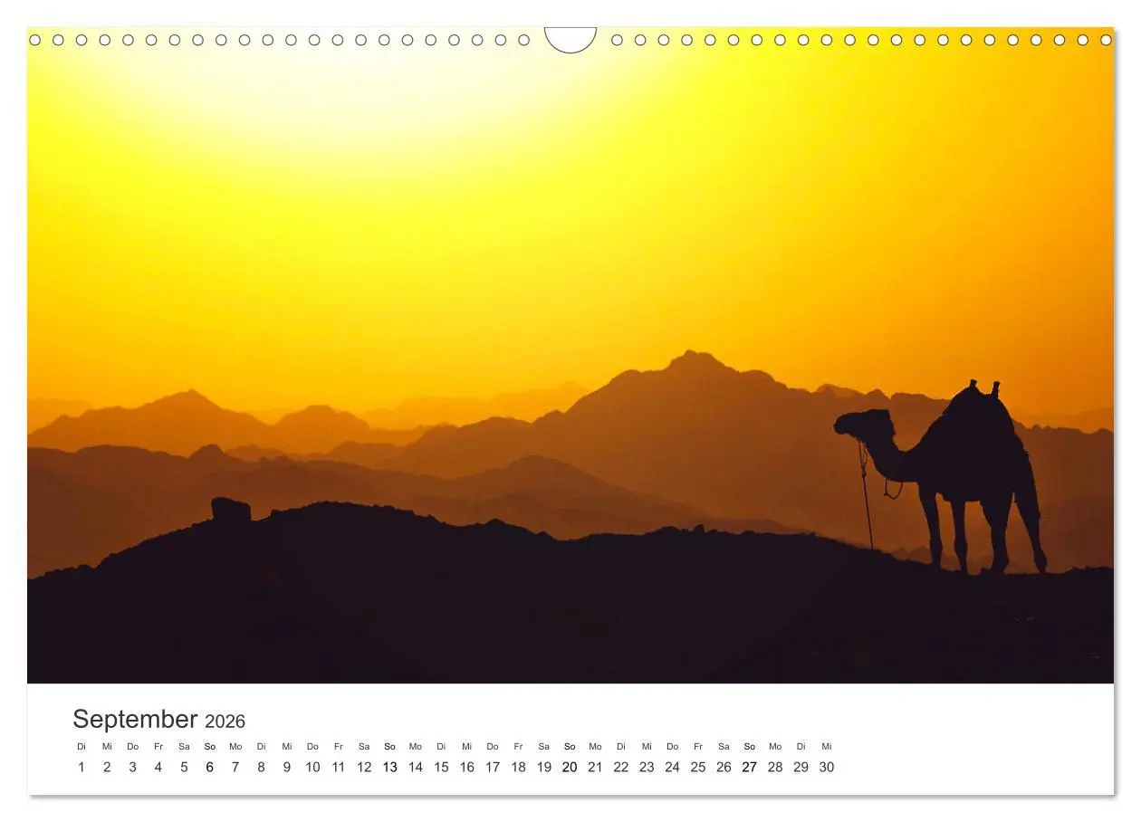 Bild: 9783457578575 | Kamele - die wahren Überlebenskünstler der Wüste. (Wandkalender...