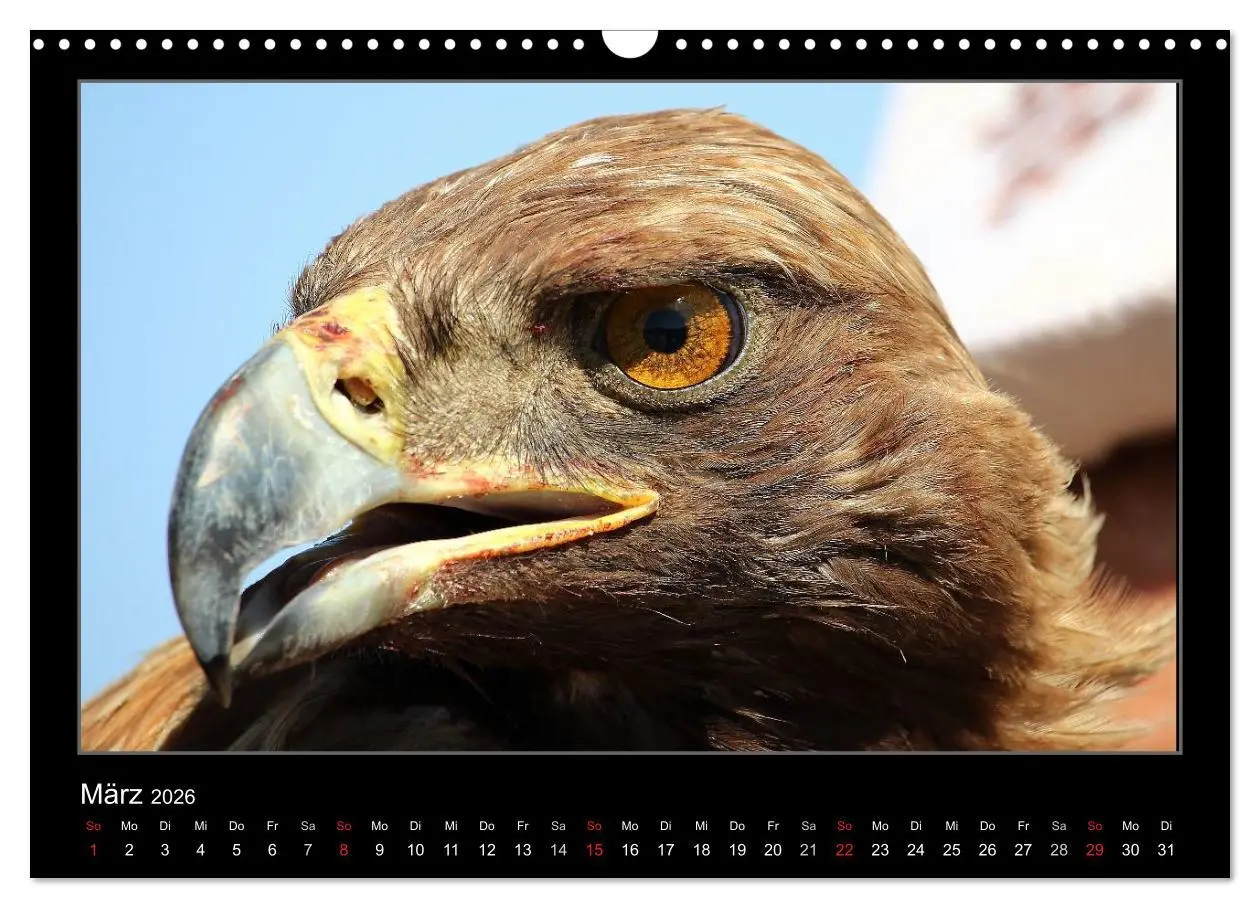 Bild: 9783457958575 | Unbekanntes Kirgistan (Wandkalender 2026 DIN A3 quer), CALVENDO...