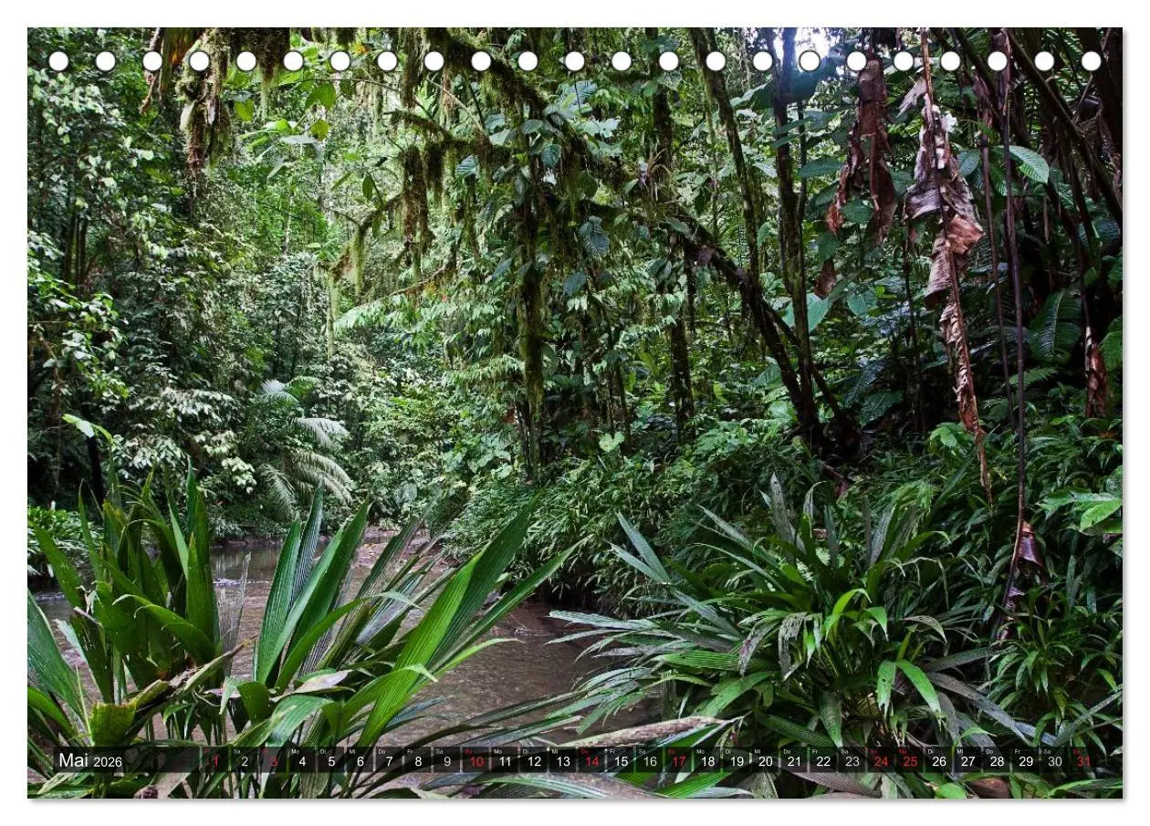 Bild: 9783516118575 | Kolumbien Impressionen (Tischkalender 2026 DIN A5 quer), CALVENDO...