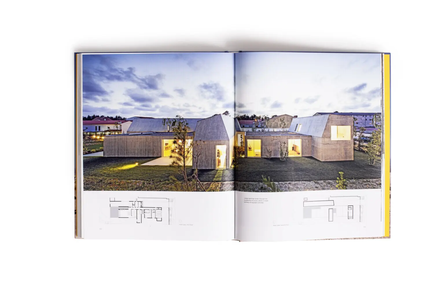 Bild: 9783775748575 | Women in Architecture | Past, Present, and Future | Ursula Schwitalla
