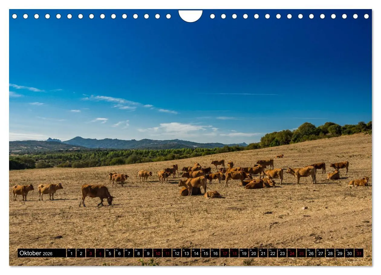 Bild: 9783457878675 | Wildes Sardinien 2026 (Wandkalender 2026 DIN A4 quer), CALVENDO...