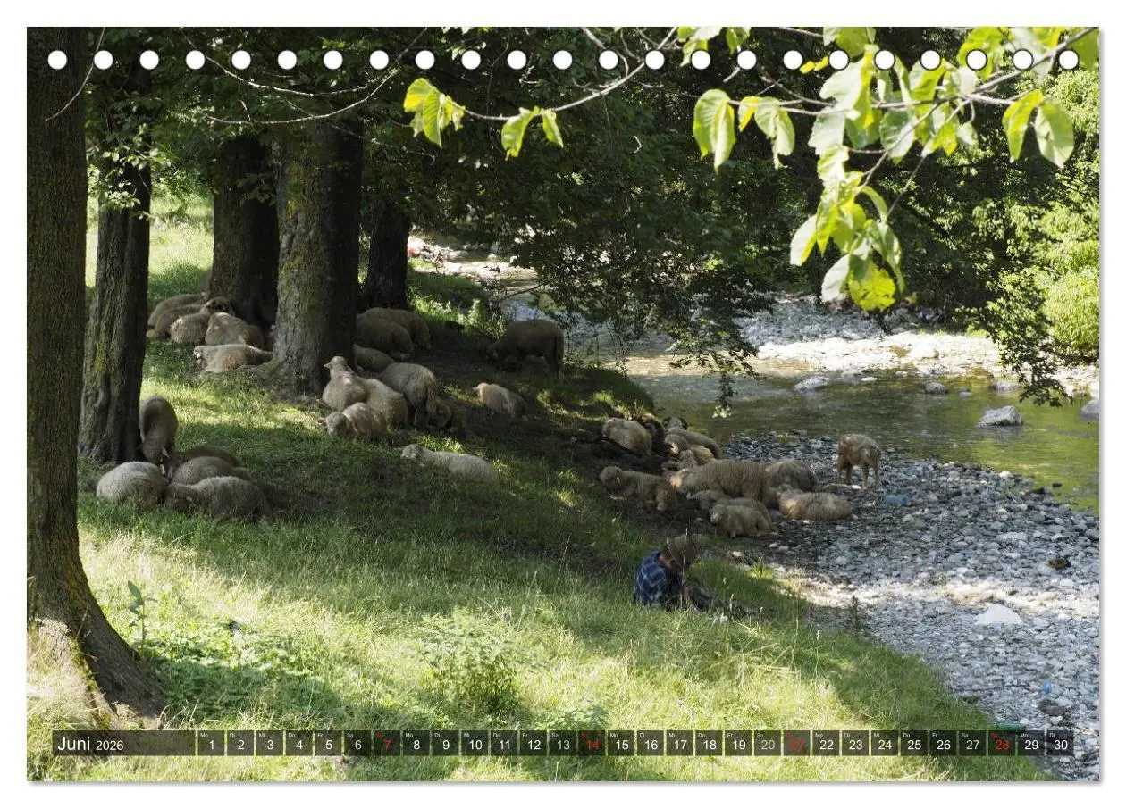 Bild: 9783516038675 | Unterwegs in und um Kronstadt (Tischkalender 2026 DIN A5 quer),...