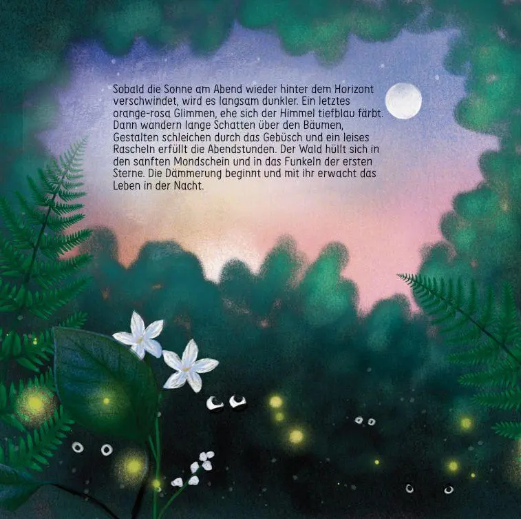 Bild: 9783982578675 | Finn Fledermaus und das Blenden in der Nacht | Alina Gries | Buch