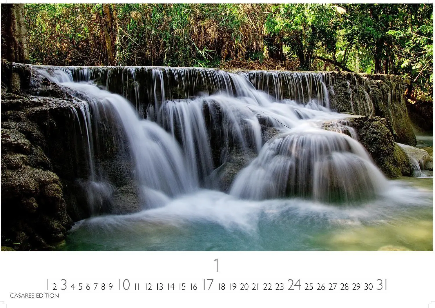 Bild: 9781835248775 | Regenwald Kalender 2027 - Wandkalender Fotokalender Naturkalender...