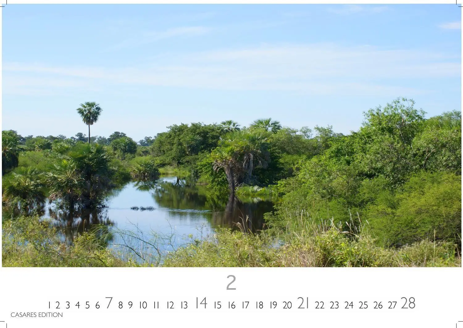 Bild: 9781835248775 | Regenwald Kalender 2027 - Wandkalender Fotokalender Naturkalender...