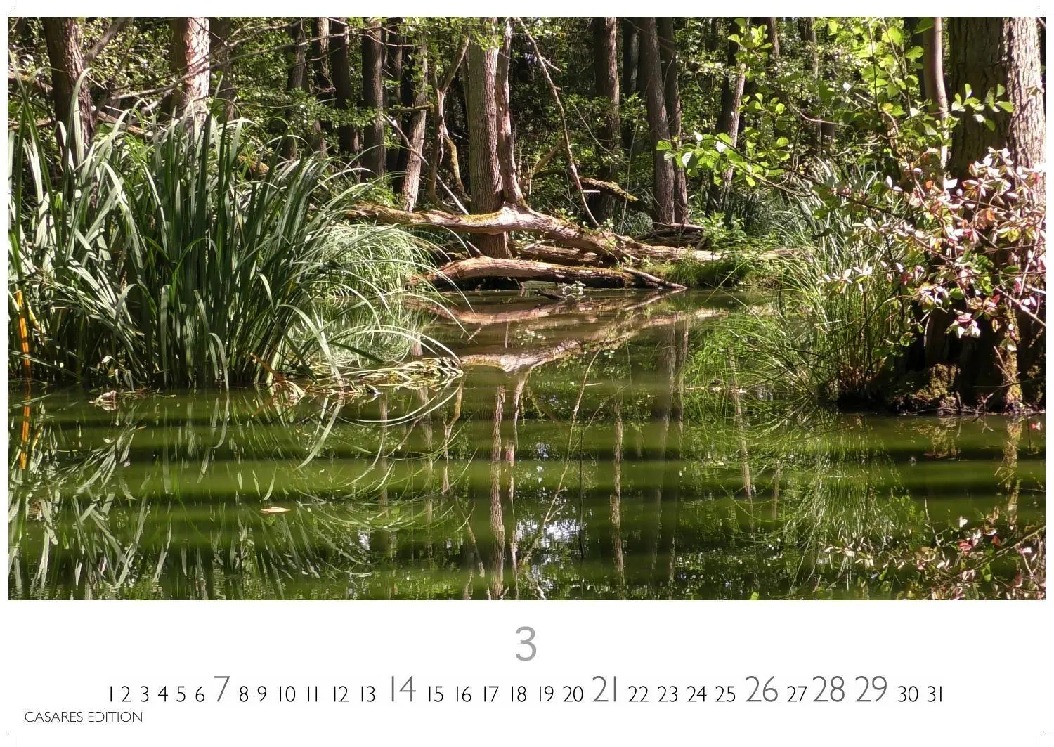 Bild: 9781835248775 | Regenwald Kalender 2027 - Wandkalender Fotokalender Naturkalender...