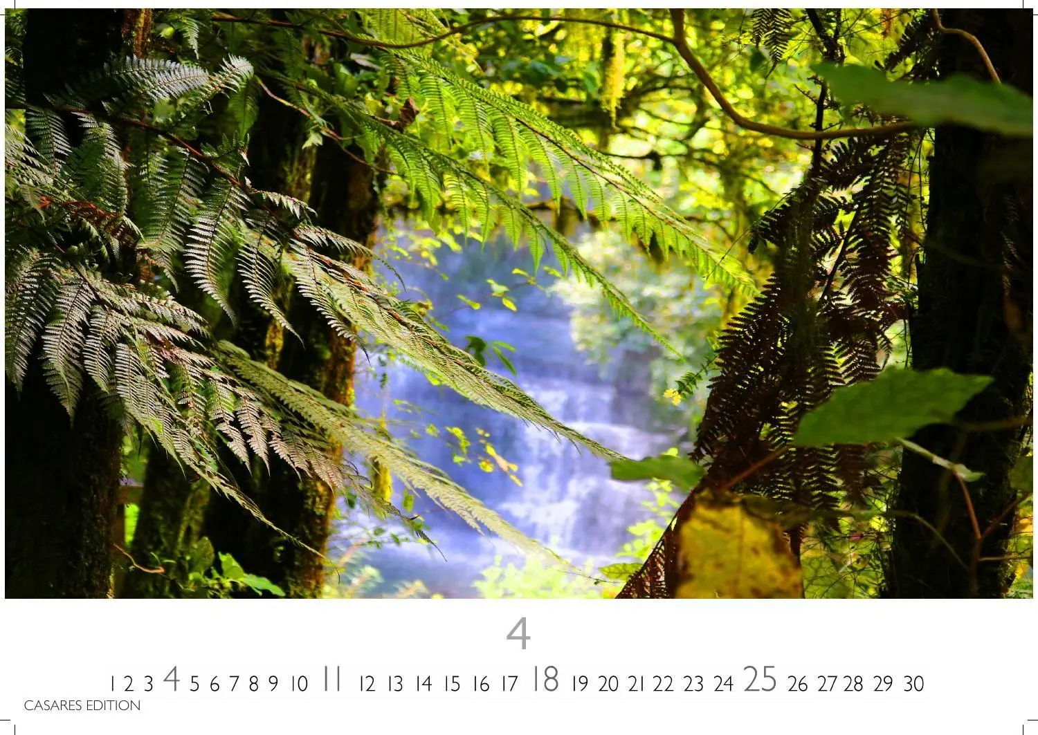 Bild: 9781835248775 | Regenwald Kalender 2027 - Wandkalender Fotokalender Naturkalender...