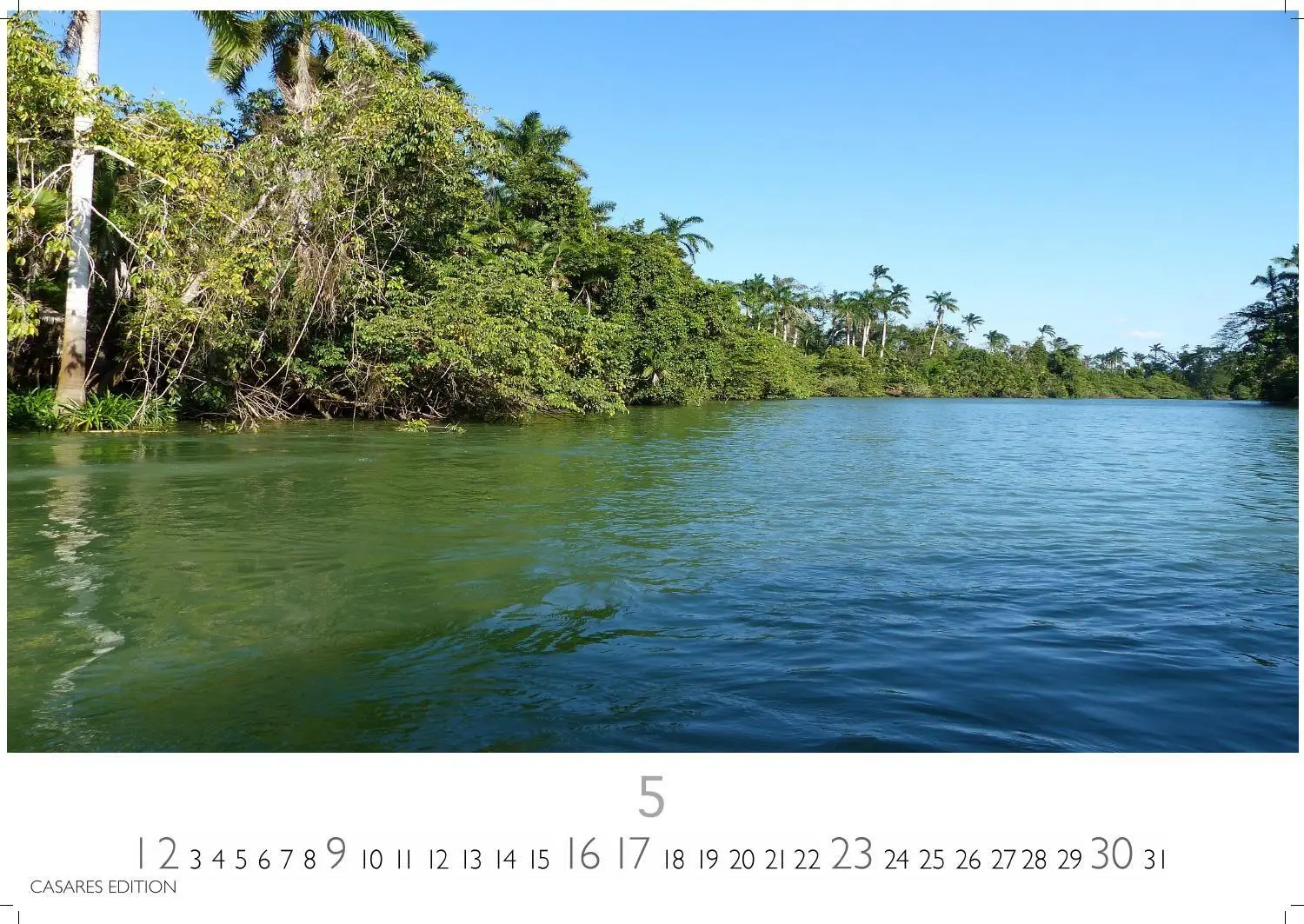 Bild: 9781835248775 | Regenwald Kalender 2027 - Wandkalender Fotokalender Naturkalender...