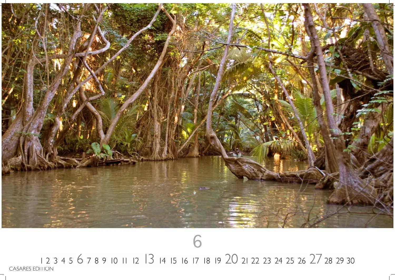 Bild: 9781835248775 | Regenwald Kalender 2027 - Wandkalender Fotokalender Naturkalender...