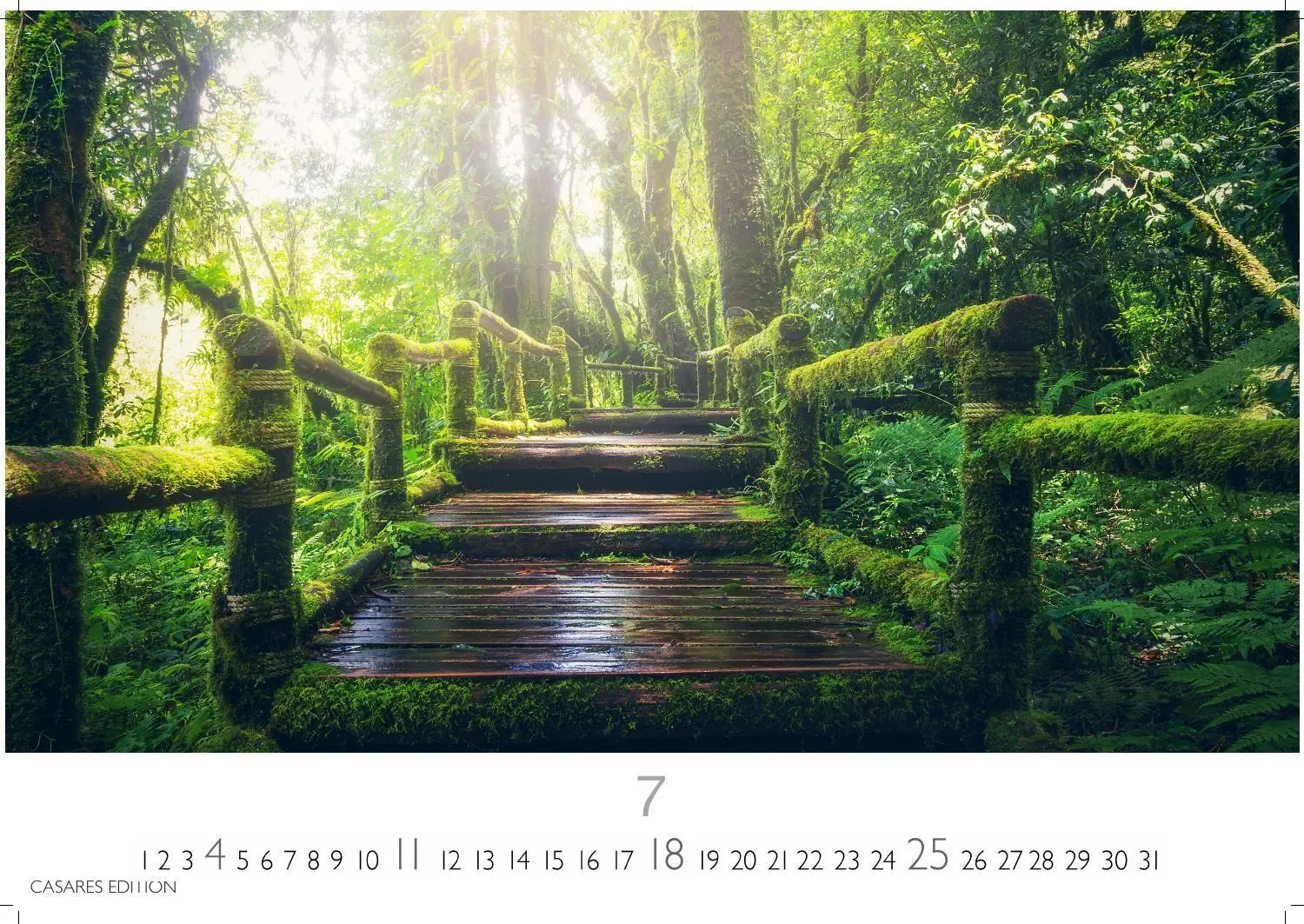 Bild: 9781835248775 | Regenwald Kalender 2027 - Wandkalender Fotokalender Naturkalender...