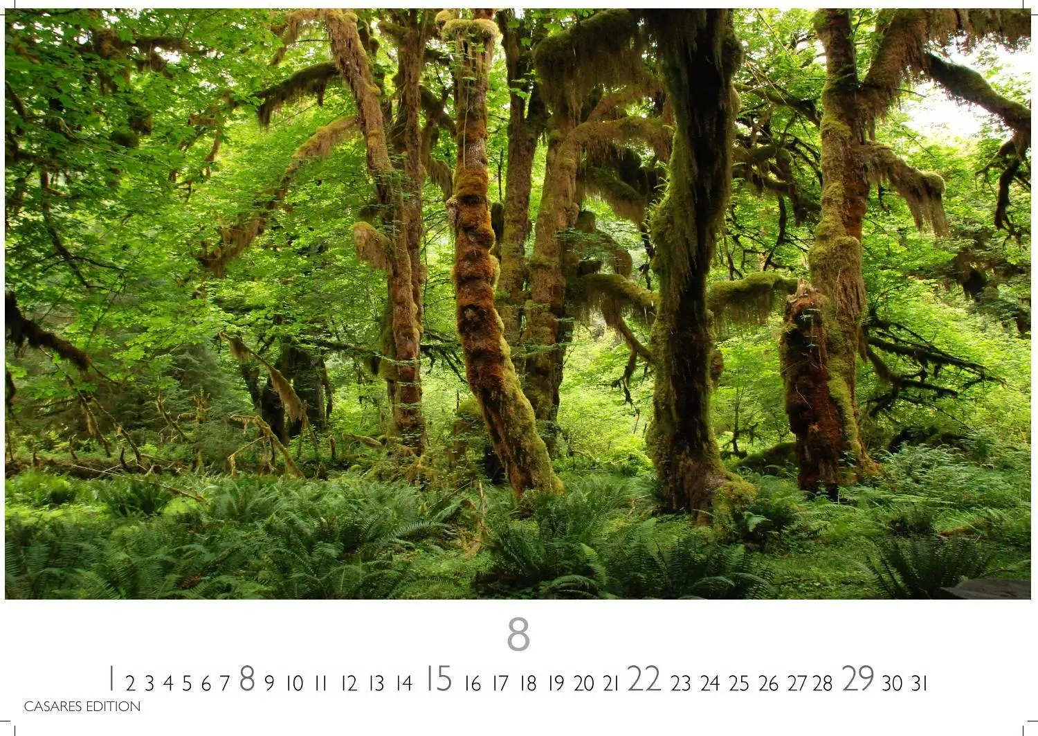 Bild: 9781835248775 | Regenwald Kalender 2027 - Wandkalender Fotokalender Naturkalender...