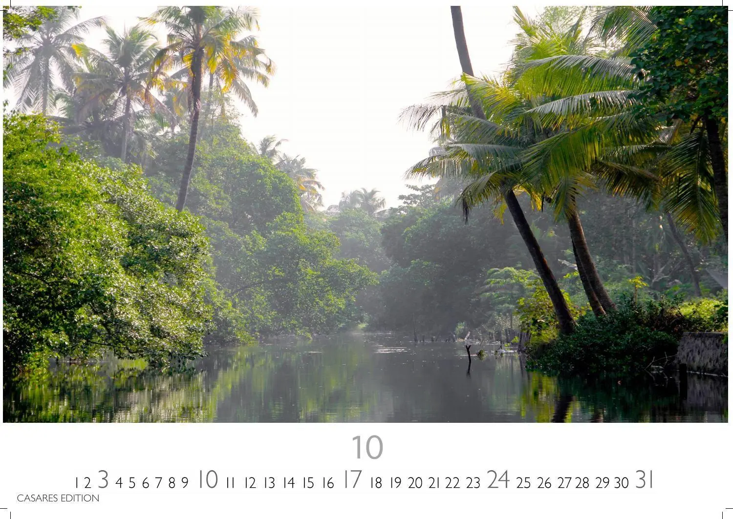 Bild: 9781835248775 | Regenwald Kalender 2027 - Wandkalender Fotokalender Naturkalender...