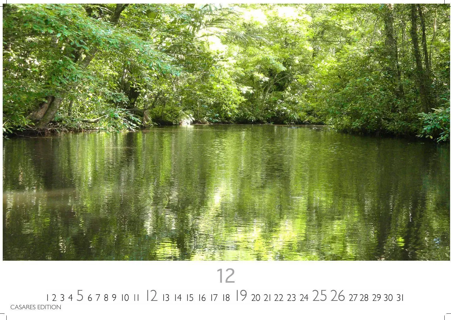 Bild: 9781835248775 | Regenwald Kalender 2027 - Wandkalender Fotokalender Naturkalender...