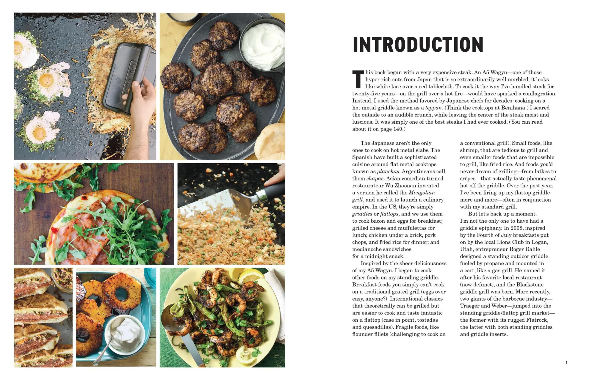 Bild: 9781523528875 | Project Griddle | The Versatile Art of Grilling on a Flattop | Buch