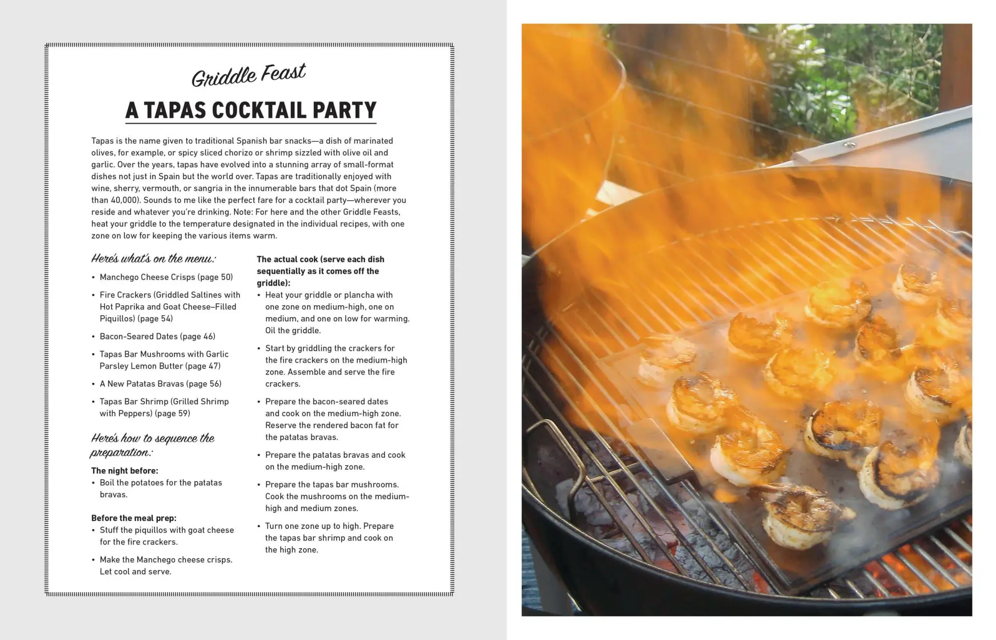 Bild: 9781523528875 | Project Griddle | The Versatile Art of Grilling on a Flattop | Buch
